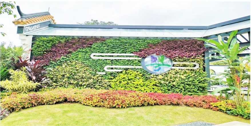 广东展园植物墙