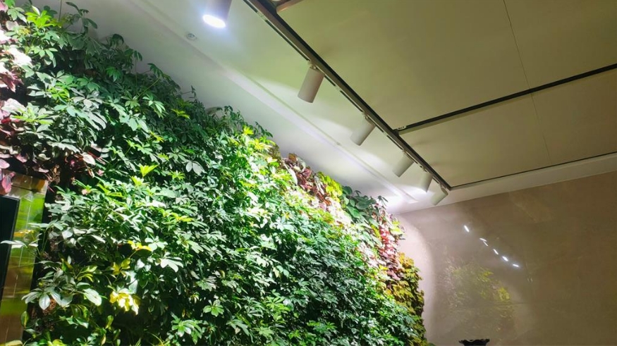中国振华集团办公楼一层入户大厅植物墙