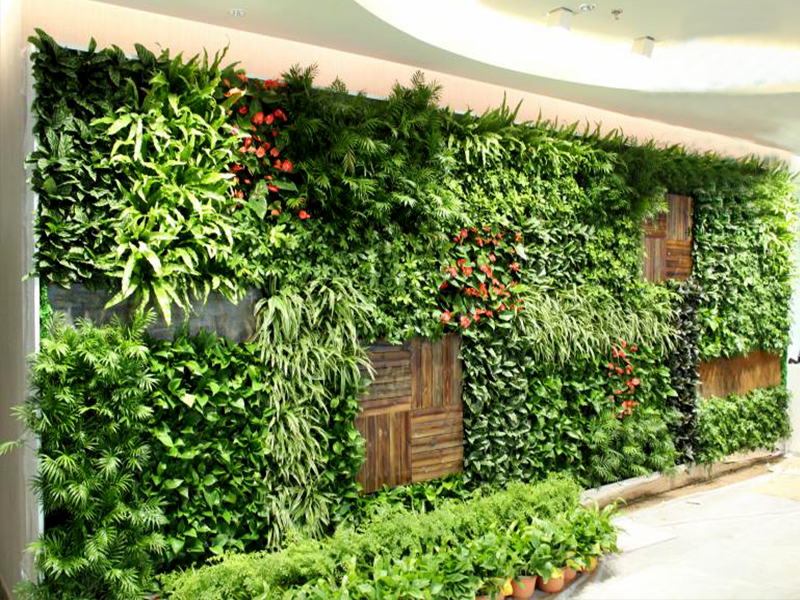 贵阳室内生态植物墙